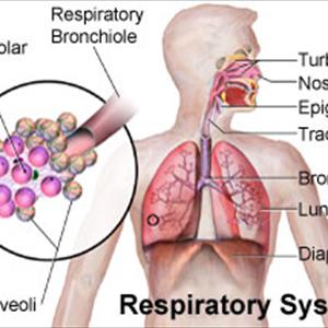 Natural Remedies For Respiratory Problems - Popcorn Lung